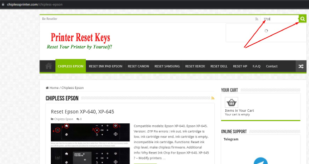 Check Chipless Epson RX510